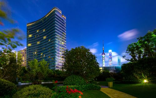 普陽鋼鐵開發房地產 德龍集團涉足農業