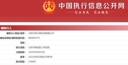 比特大陸新增被執(zhí)行人信息 執(zhí)行標(biāo)的超23萬元，牽涉計(jì)算機(jī)軟硬件技術(shù)開發(fā)